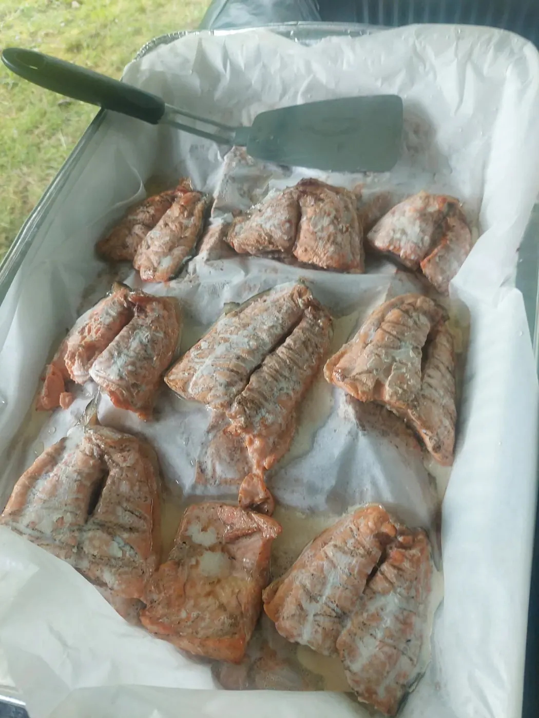 Tray of seasoned salmon pieces ready to serve